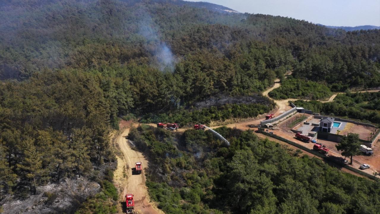 İzmir'de çıkan orman yangınlarına müdahale sürüyor