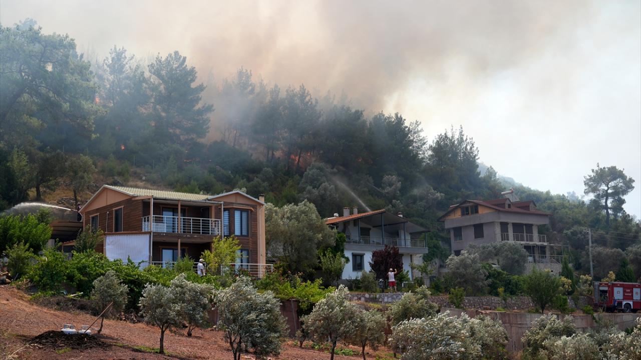 "Yangınların büyük bir kısmı orman dışı alanlardan başlıyor"