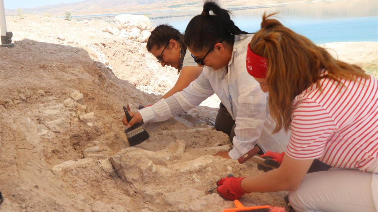 "Fosil tabakası 7,7 milyon yıllık"