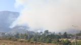 Hatay'da orman yangınına havadan ve karadan müdahale ediliyor