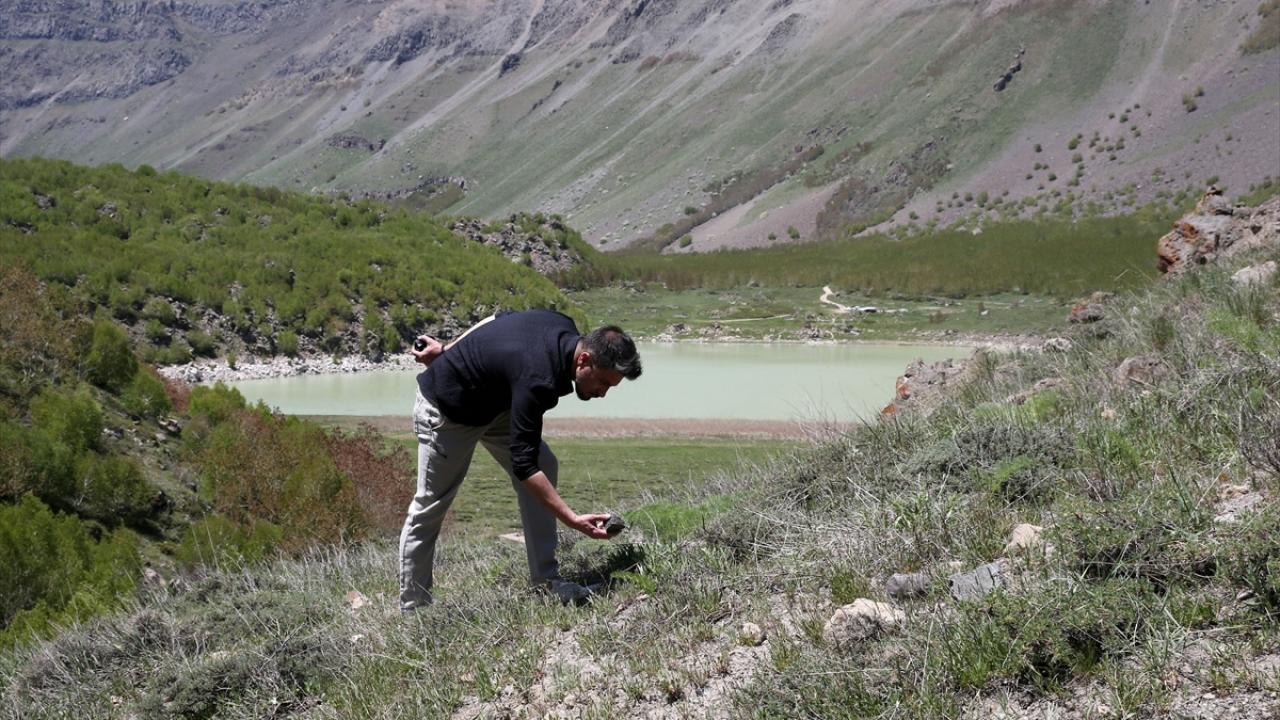 "Eylülde yüzey araştırmasına başlayacağız"