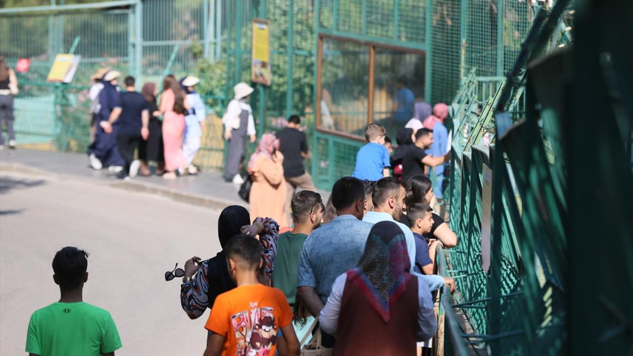 Yıl sonu hedefi 6 milyon