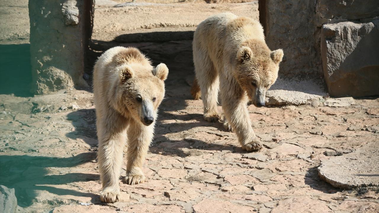 Ziyaretçilerden övgü