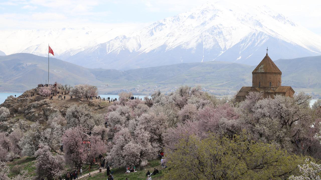 Akdamar Badem Çiçeği Festivali
