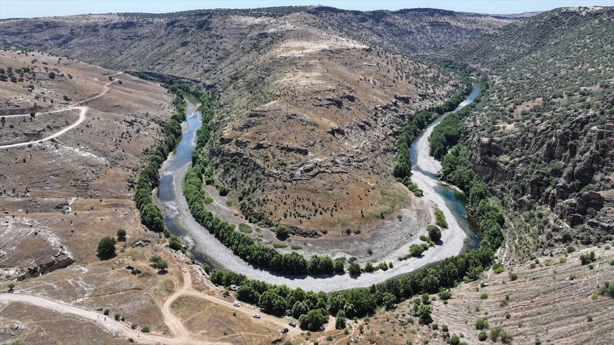 Selman piknik alanı