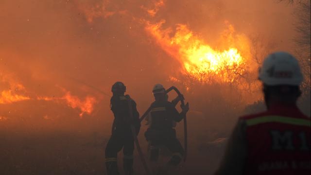 �zmir �e�me'de orman yang�n�: