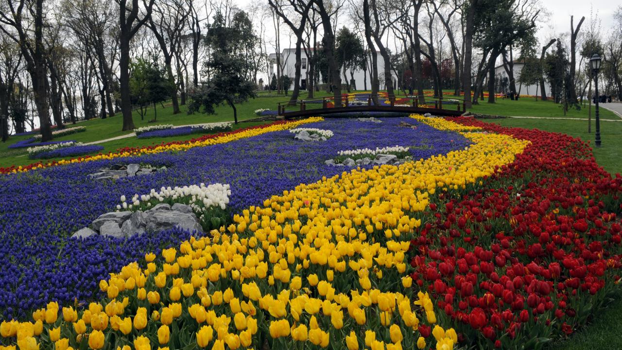 Çiçeğe adanmış festivaller