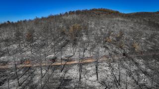 Hatay'da orman yangını kısmen kontrol altında: Soğutma çalışması devam ediyor