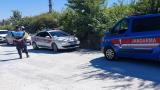 Manavgat'ta aslanın kaçtığı hayvan parkı mühürlendi