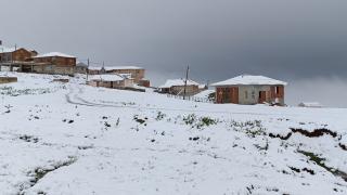 Rize ve Erzurum, Tunceli ve Trabzon'un yüksek kesimlerine temmuz karı