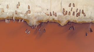 Senegal'de aşırı yağışlar nedeniyle yeşillenen Pembe Göl sonunda rengine kavuştu