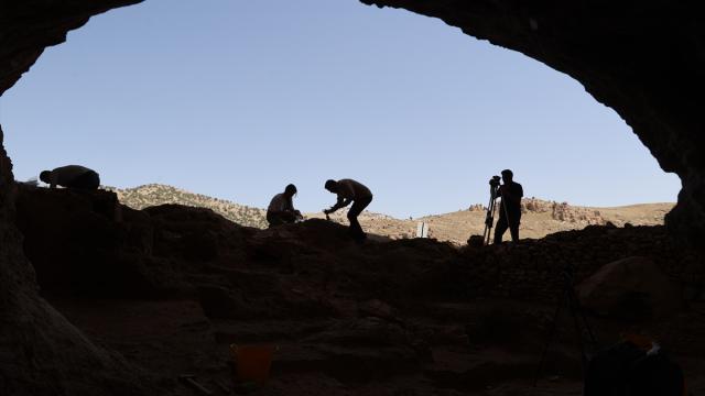 İlk kez mağara duvarlarında antik insan DNAsı keşfedildi haber görseli