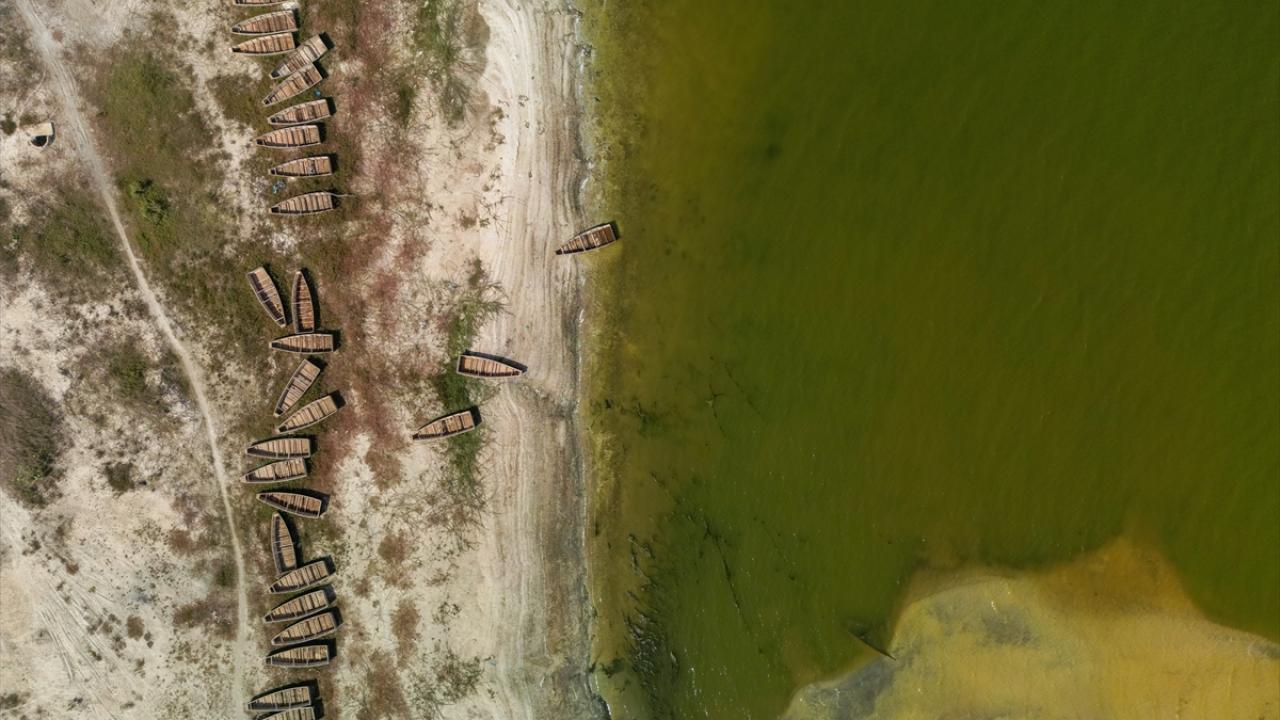 Aşırı yağışlarda yeşillendi