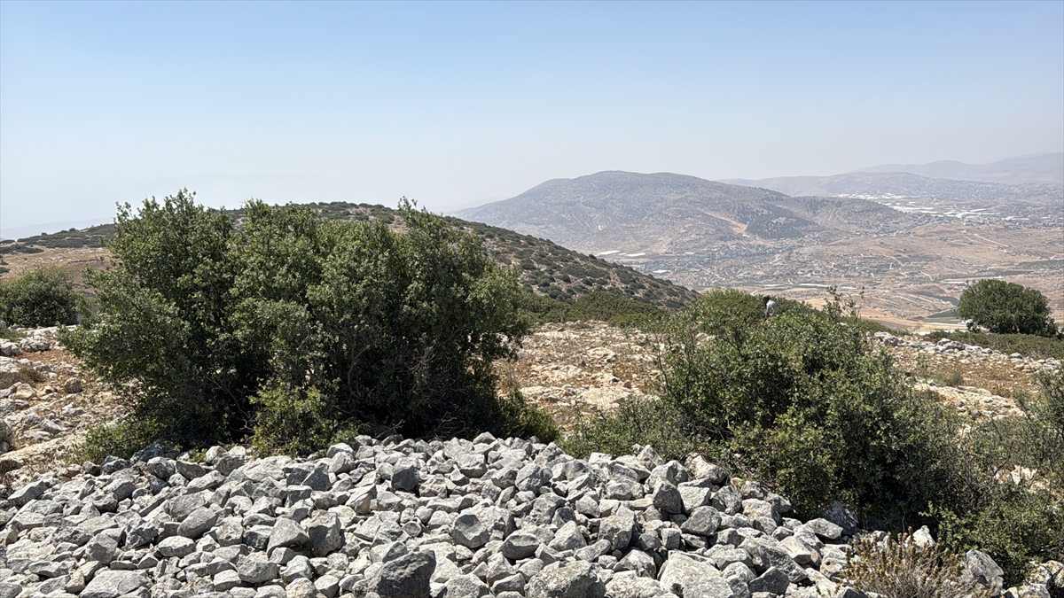 Araziler özel mülk, zeytin ağaçları tehdit altında