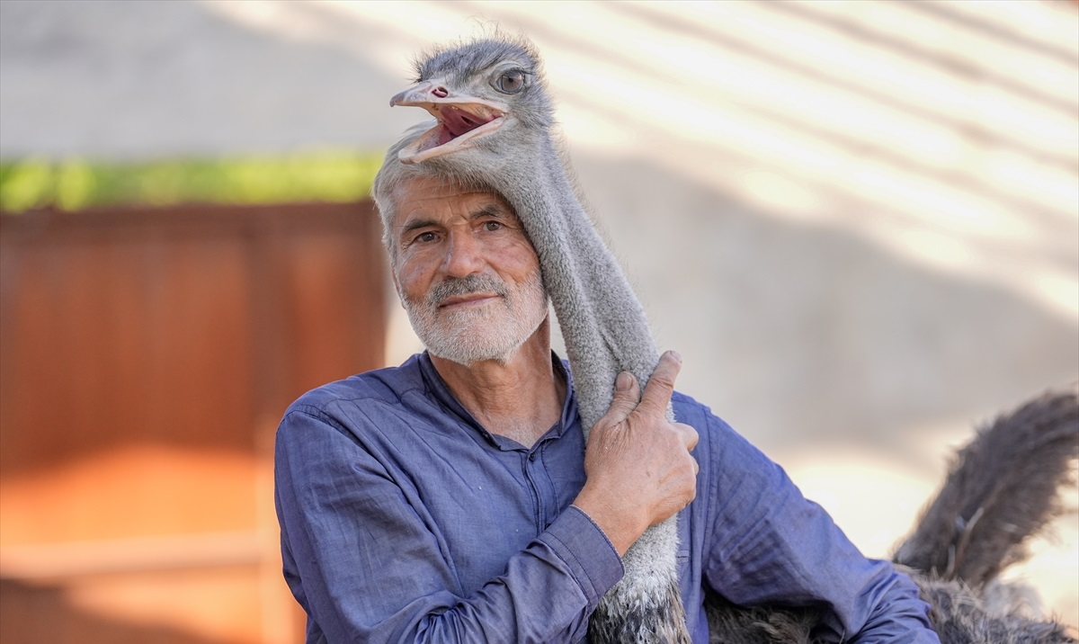 "Dişi deve kuşunu getirdiğimizde Hüdhüd çok heyecanlandı"