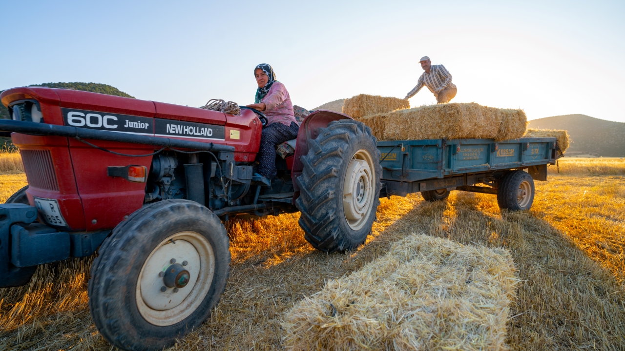 Antalya'da buğday hasadının sonuna gelindi