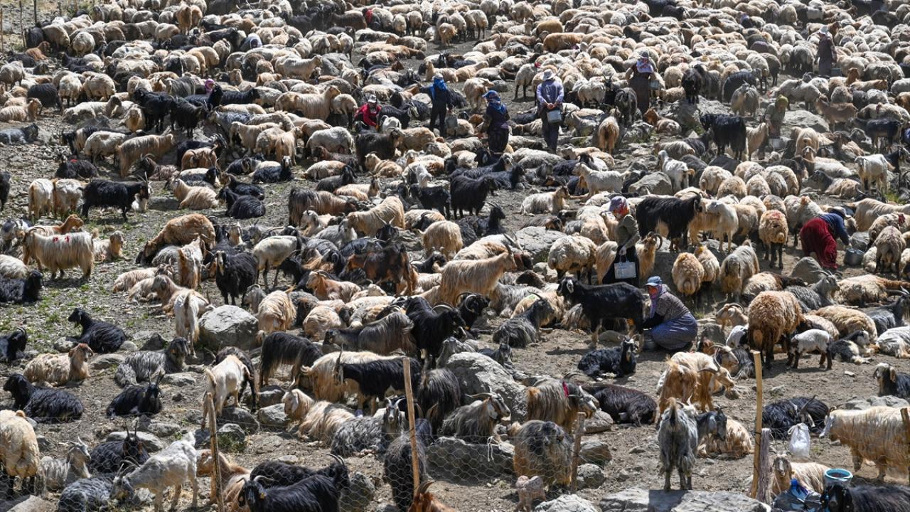 Her inişimiz 2 saat sürüyor"