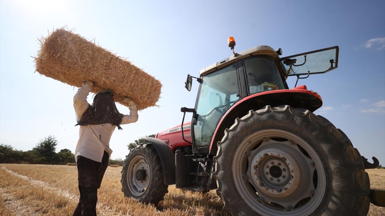 "Sıcakta çok zorluyor"