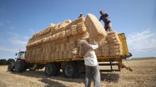 Balya işçileri kavurucu sıcakta mesai yapıyor
