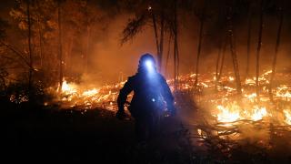 Atina'ya yaklaşık 60 kilometre uzaktaki Oropos'ta orman yangını çıktı