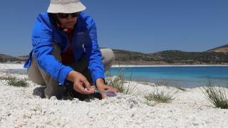 Göller Bölgesi'ndeki kayaçlar, Mars çalışmalarına referans olacak