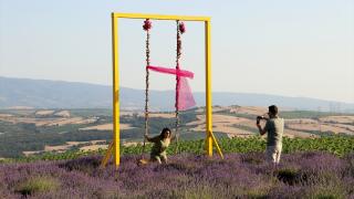 Tekirdağ, artan lavanta bahçeleriyle daha fazla turist çekmek istiyor