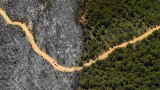 Uşak'ta orman yangınından etkilenen alanlar havadan görüntülendi