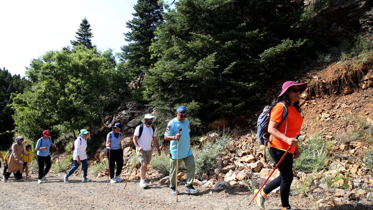 "Karadeniz`e benzeyen çam havası var"