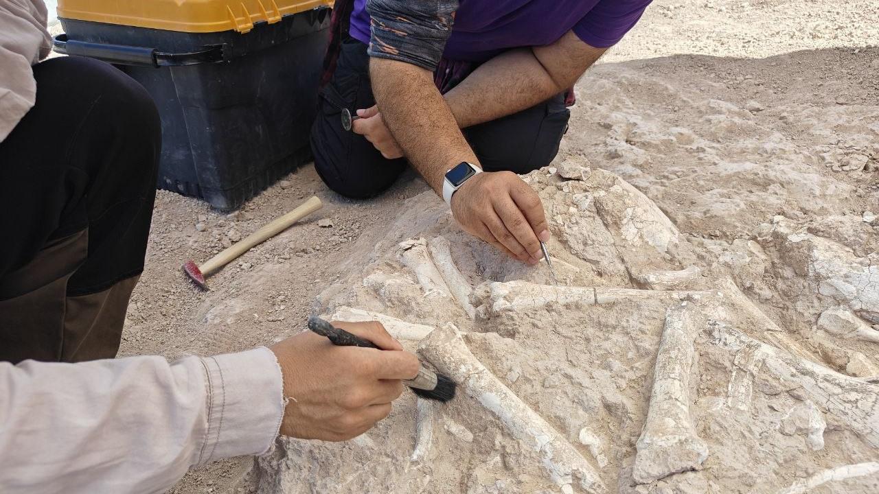 "Asıl amacımız primatlar"