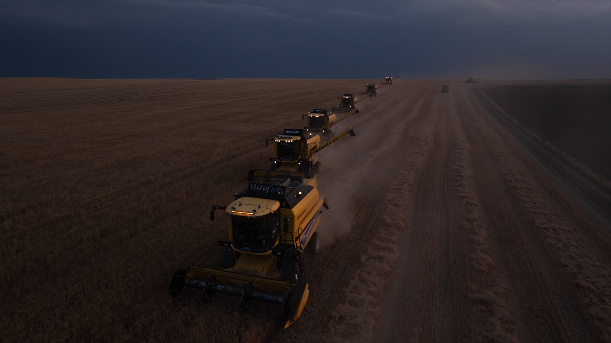 Ankara’da biçerdöverlerin buğday hasadı mesaisi gece gündüz sürüyor