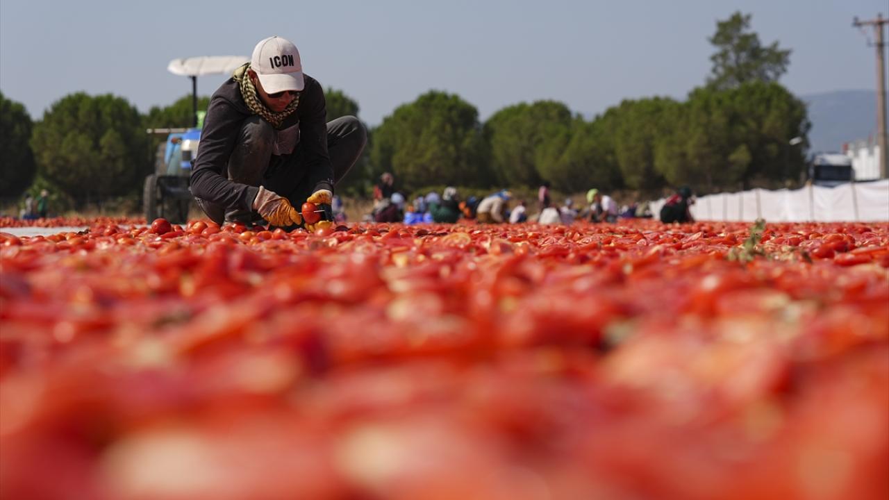 "Dünya pazarlarında yer bulmaya devam edeceğiz"