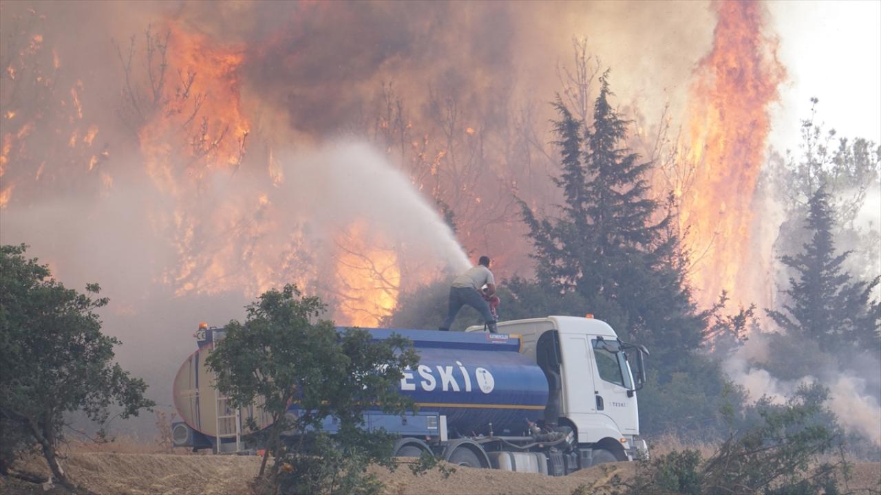 Tekirdağ'da çıkan orman yangını Çanakkale'ye sıçradı