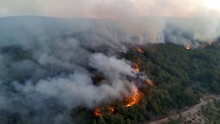 Şarköy'de orman yangını