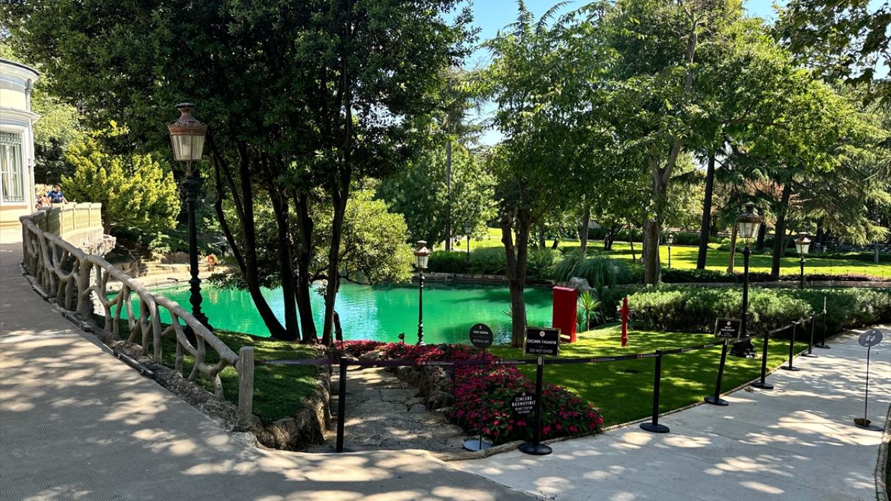 "Yüzyıllık bir tarihin ardından ilk defa ziyaretçiyle buluşmuştu"