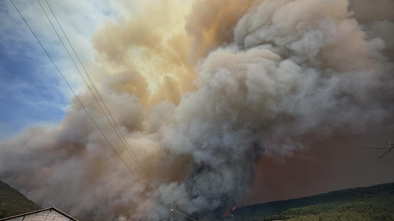 "Bilecik tarihinin en büyük yangınlarıyla karşı karşıya kaldık"