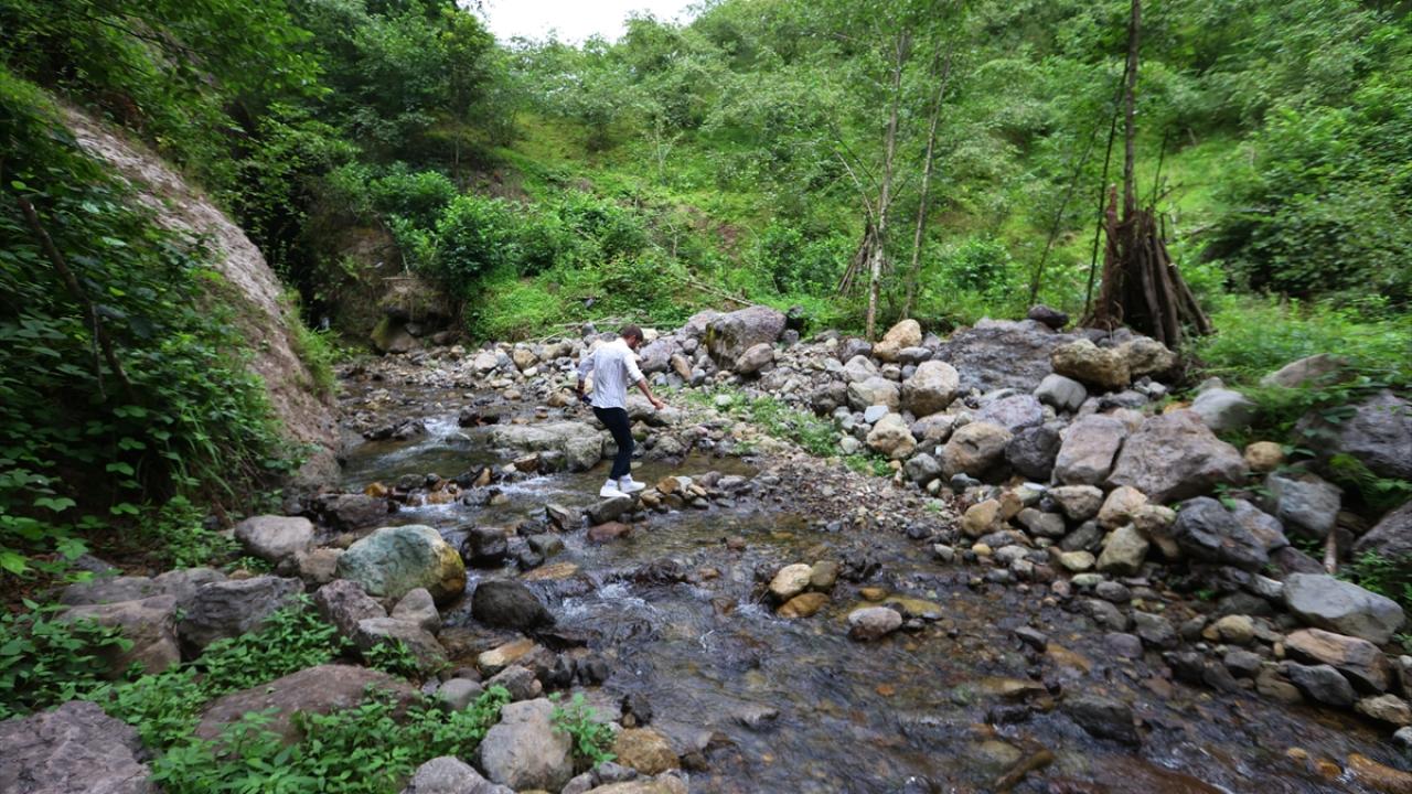 "Yerli ve yabancı tüm misafirlerimizi bu bölgeye davet ediyoruz"