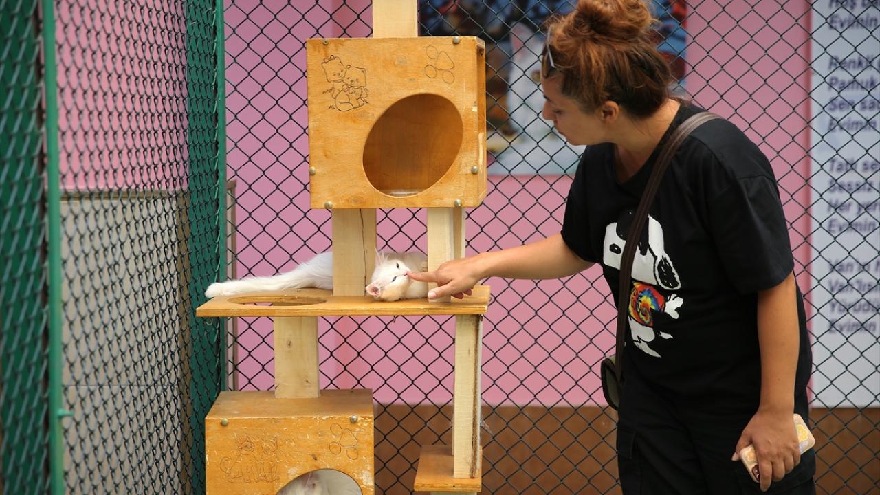 "Düzgün, huzurlu bir ev ortamı arıyoruz"