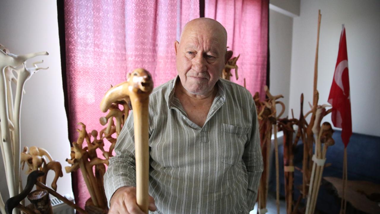 Kaplan, AA muhabirine, baston yapımındaki püf noktanın ağaç dalını bulmaktan geçtiğini söyledi.  Küçük yaşlardan beri ağaç yonttuğunu, çeşitli eşyalar yaptığını belirten Kaplan, emeklilik yıllarında yüzlerce baston yaptığını ifade etti.  Bastonlara çeşitl