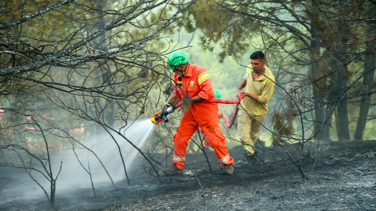 İşlerini bırakıp yangın bölgesine gidiyorlar