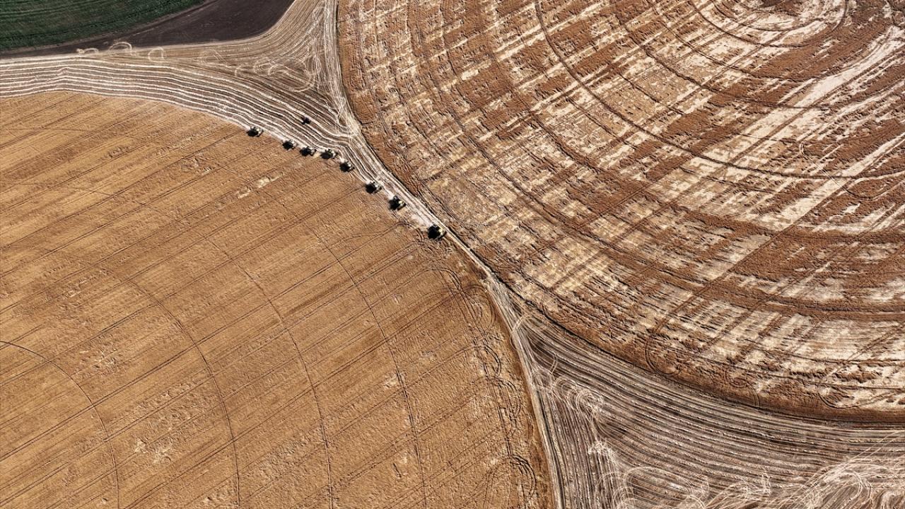 "Tarlaların her biri 365 dekar, yaklaşık 50 futbol sahası büyüklüğünde"