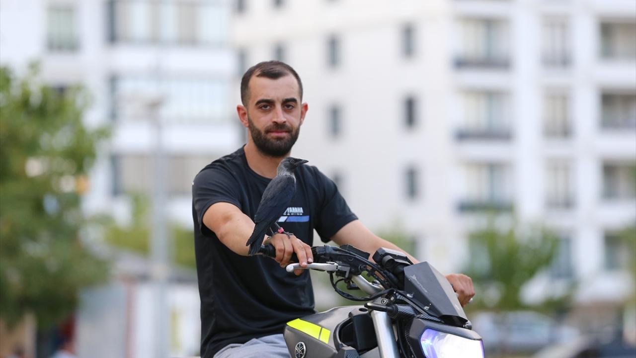 "İnsanların tepkileri mükemmel"