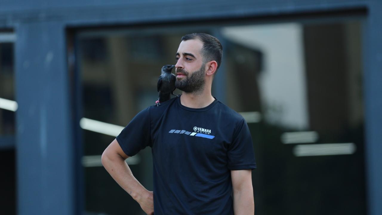 "Kargayla dostluk kurmak çok farklı bir şey"