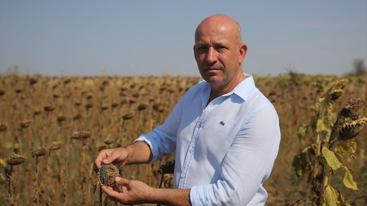 "Kafa yapısı yeterli seviyede gelişemedi"