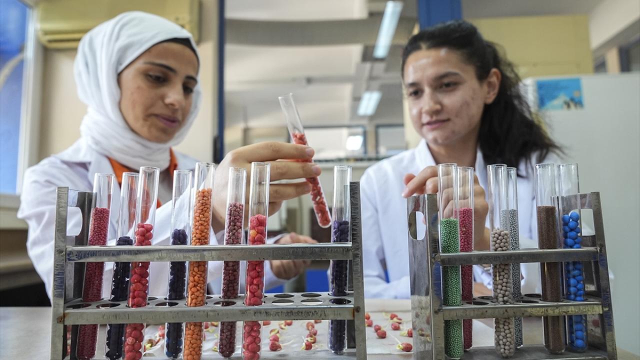 Türkiye'nin ilk tohum enstitüsü faaliyete başladı