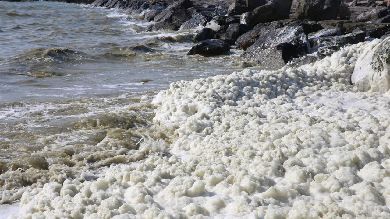 Hatay'da deniz kıyısında köpük benzeri tabakaya ilişkin inceleme tamamlandı