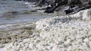 Hatay'da deniz kıyısında köpük benzeri tabakaya ilişkin inceleme tamamlandı