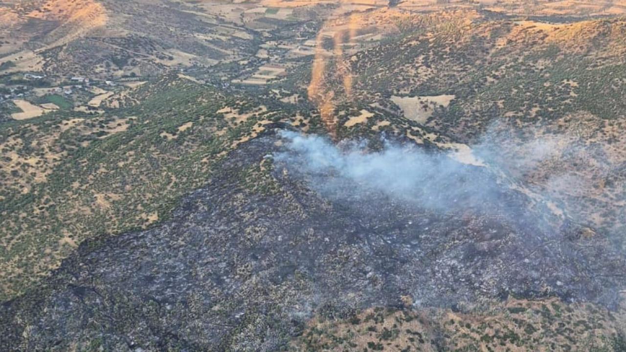 Aydın'daki yangınla ilgili bir kişi gözaltına alındı