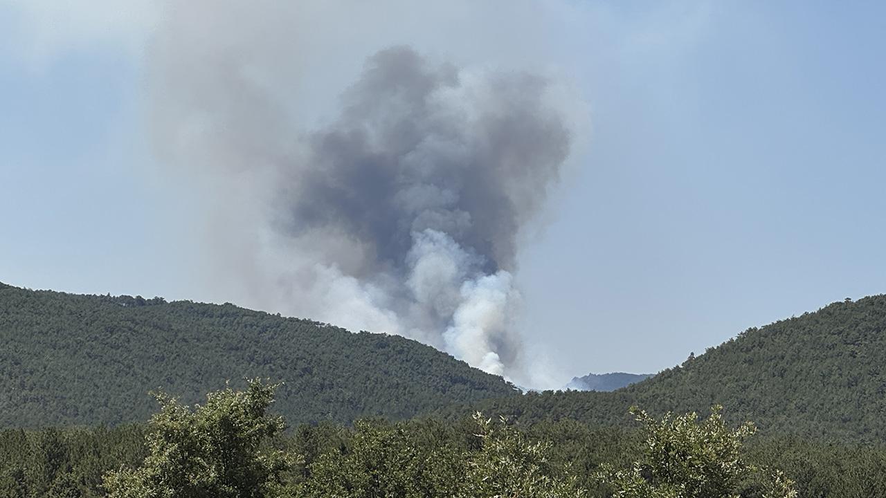 Eskişehir'de orman yangını