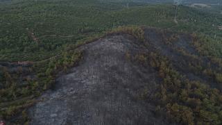 Urla'da yanan alanlar dronla görüntülendi