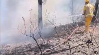 'Alev savaşçıları'nın canlarını hiçe saydığı anlar kamerada